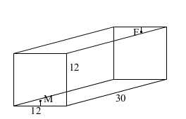 The initial setup showing where the ants are.